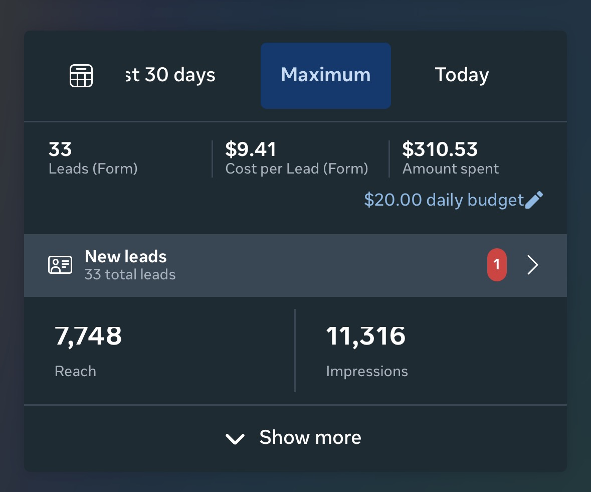 Meta Ads campaign showing 33 leads at $9.41 per lead from $310.53 in ad spend